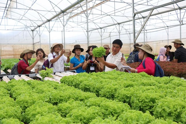 Sản xuất nông nghiệp hữu cơ - Hướng đi đúng cho nền nông nghiệp Việt Nam (29/9/2018)
